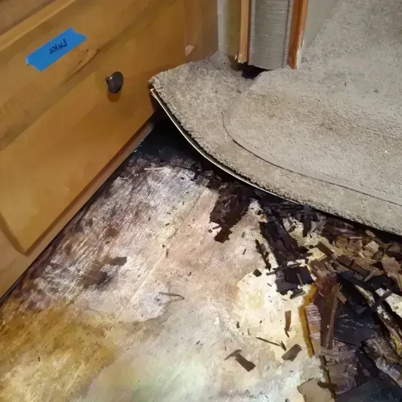 Wood Floor Water Damage in Irvington, MD